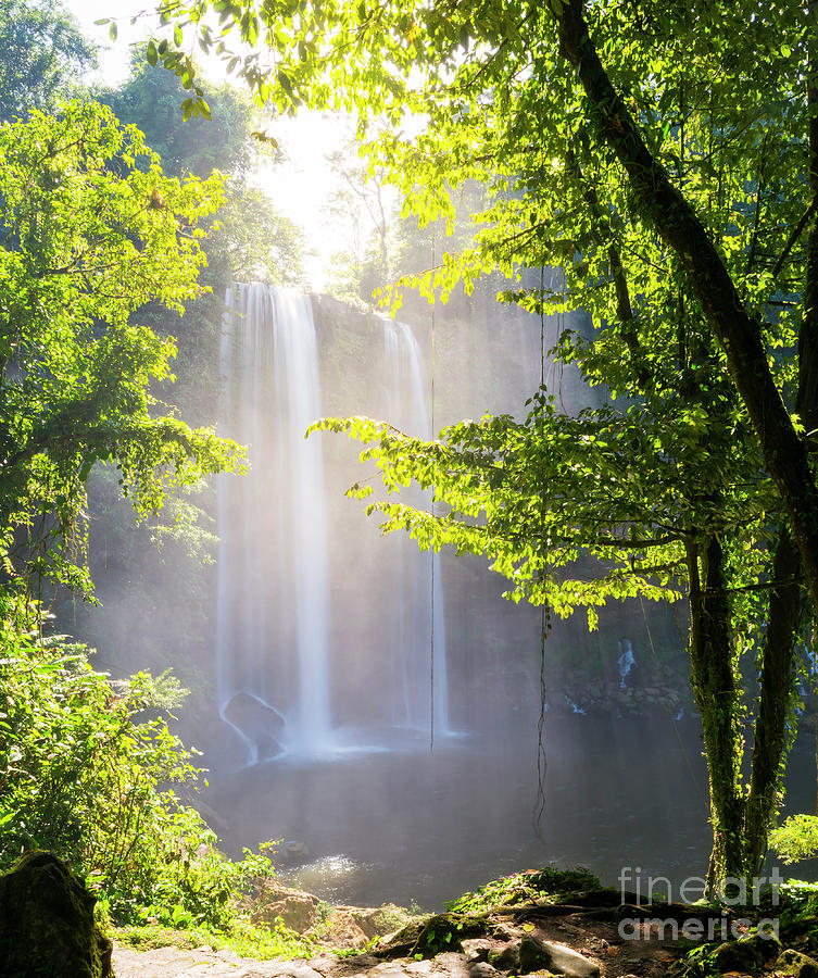 Misol Ha Waterfall Forest Photograph