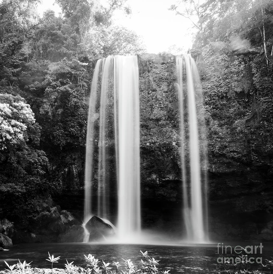 Fall Photograph - Misol Ha Waterfall Palenque Black and White by THP Creative
