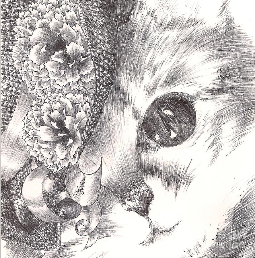 Miss Cat Drawing by Alice Chen