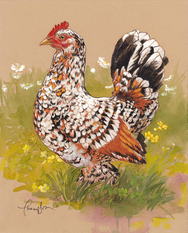 Chicken Painting - Miss Millie Fleur by Tracie Thompson