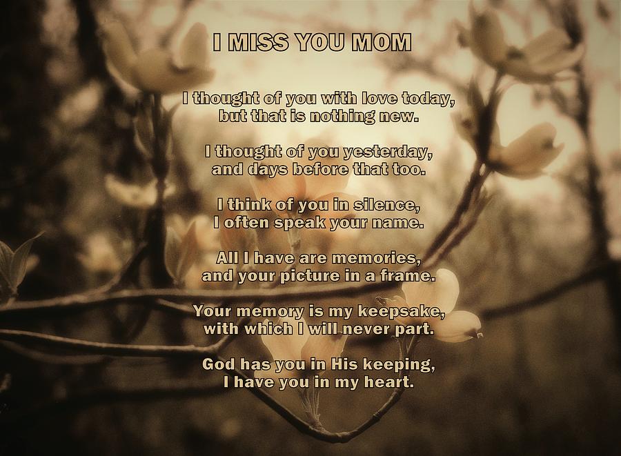 Miss You Mom - Mothers Poem Photograph by James DeFazio