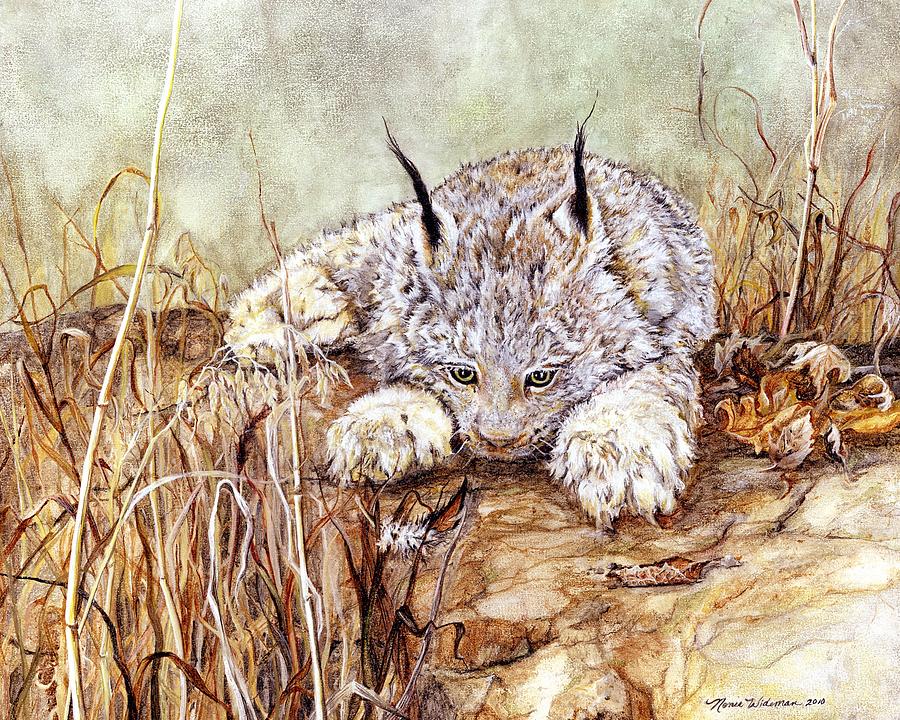 Lynx Kitten Painting - Missed Lunch by Nonie Wideman