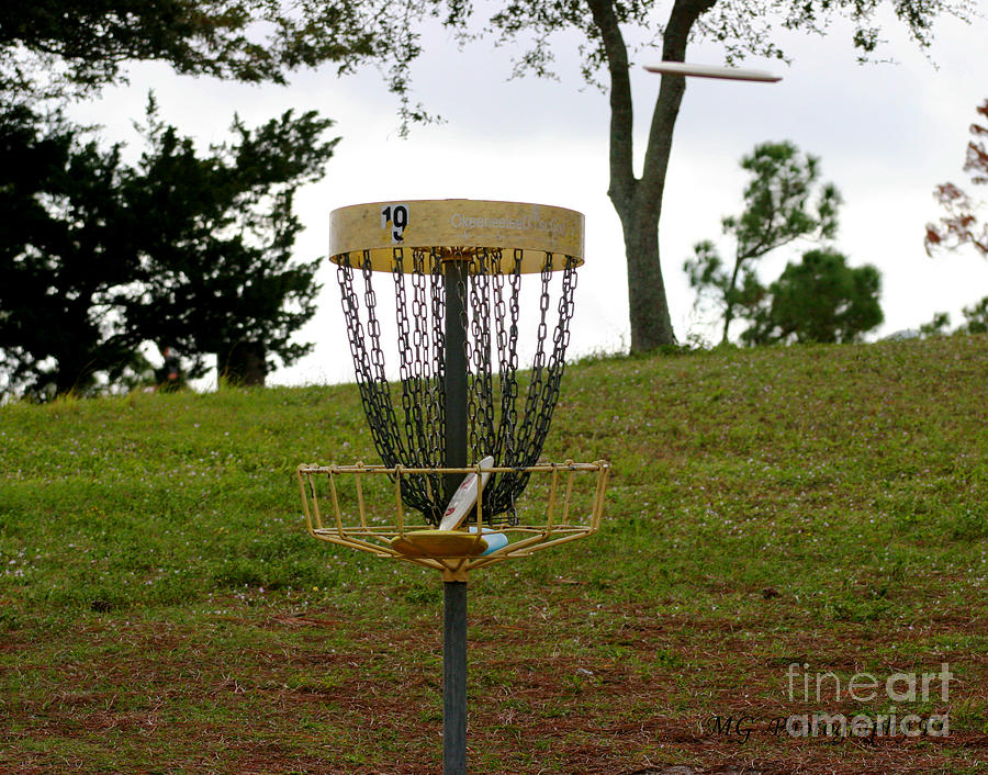 Disc Golf Photograph - Missing Chains by Marty Gayler Disc Golf Photograph - Missing Chains by Marty Gayler