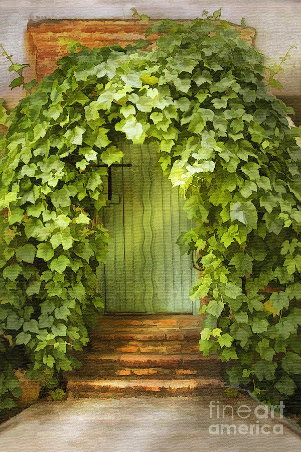 Mission Ivy Door Photograph by Sharon Foster