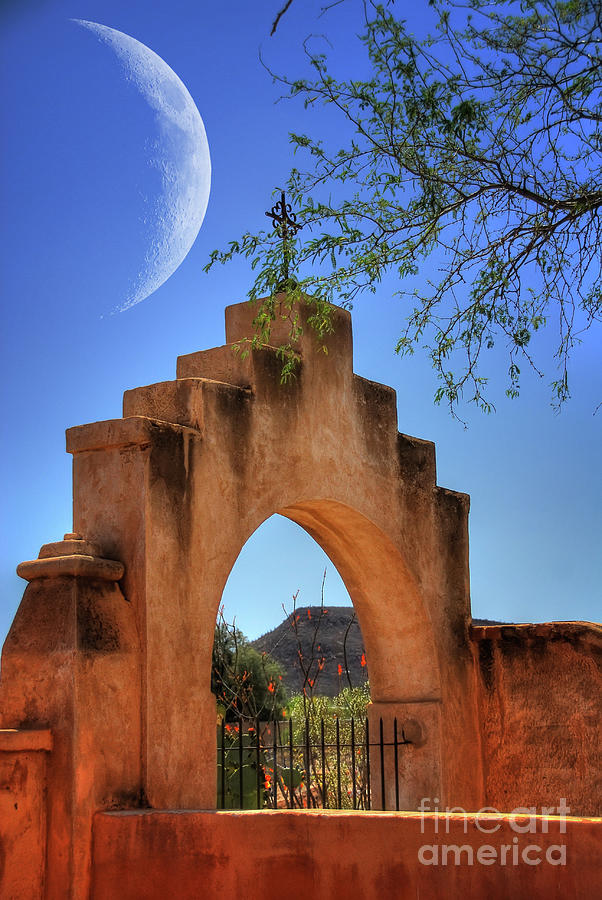 Architecture Photograph - Mission San Xavier del Bac by Lois Bryan