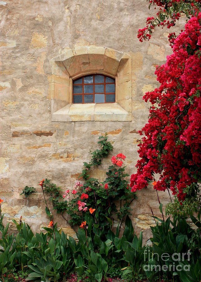 Garden Photograph - Mission Window by Carol Groenen