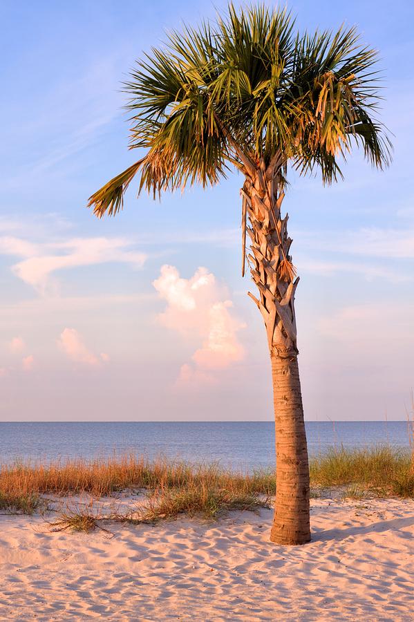 Mississippi Beaches Photograph by JC Findley