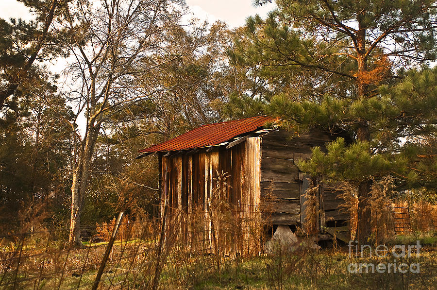 Nature Photograph - Mississippi Corn Crib by Tamyra Ayles