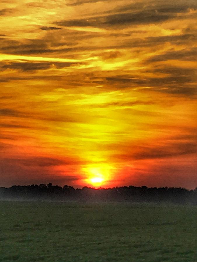 Nature Photograph - Mississippi Delta Sunrise by Lisa Fletcher
