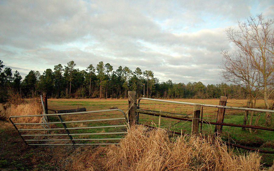 Mississippi Farm Land With Fence Photograph by Cora Wandel