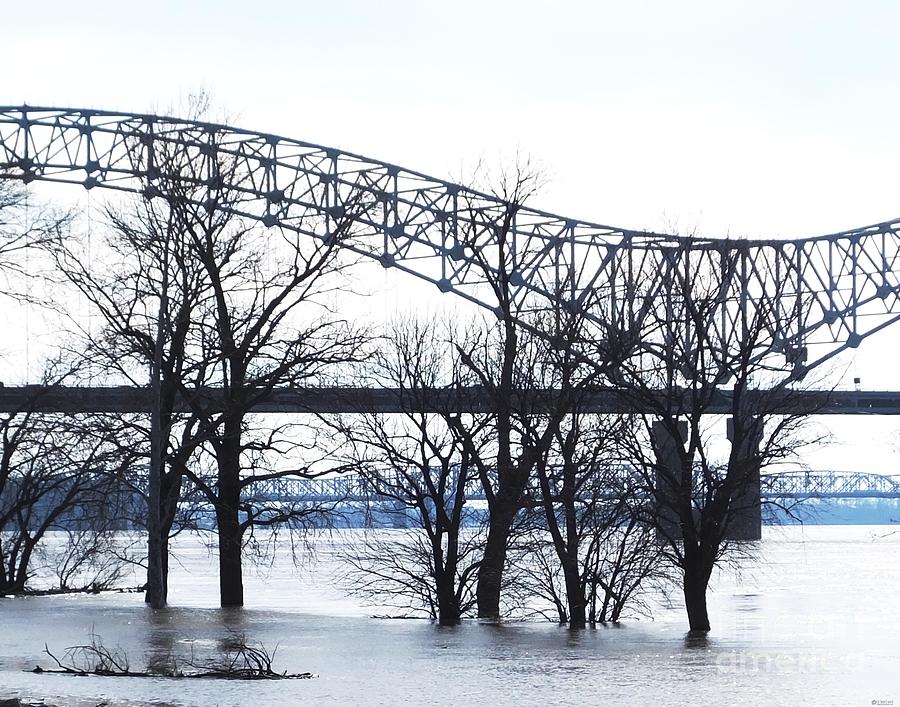 Memphis Photograph - Mississippi River at Memphis January High Water by Lizi Beard-Ward