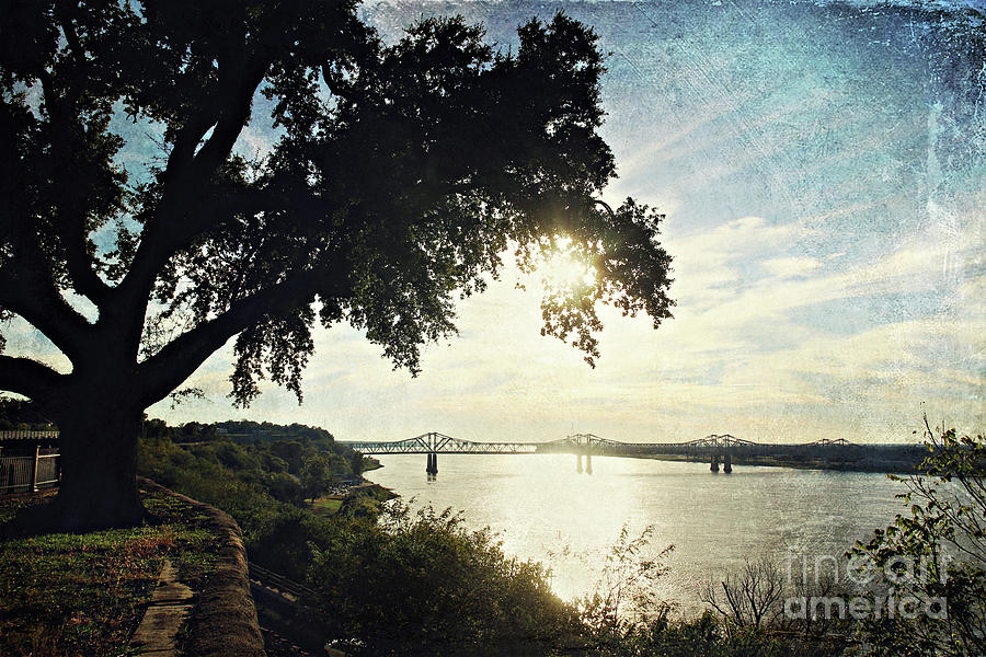 Landscape Photograph - Mississippi River at Natchez by Joan McCool