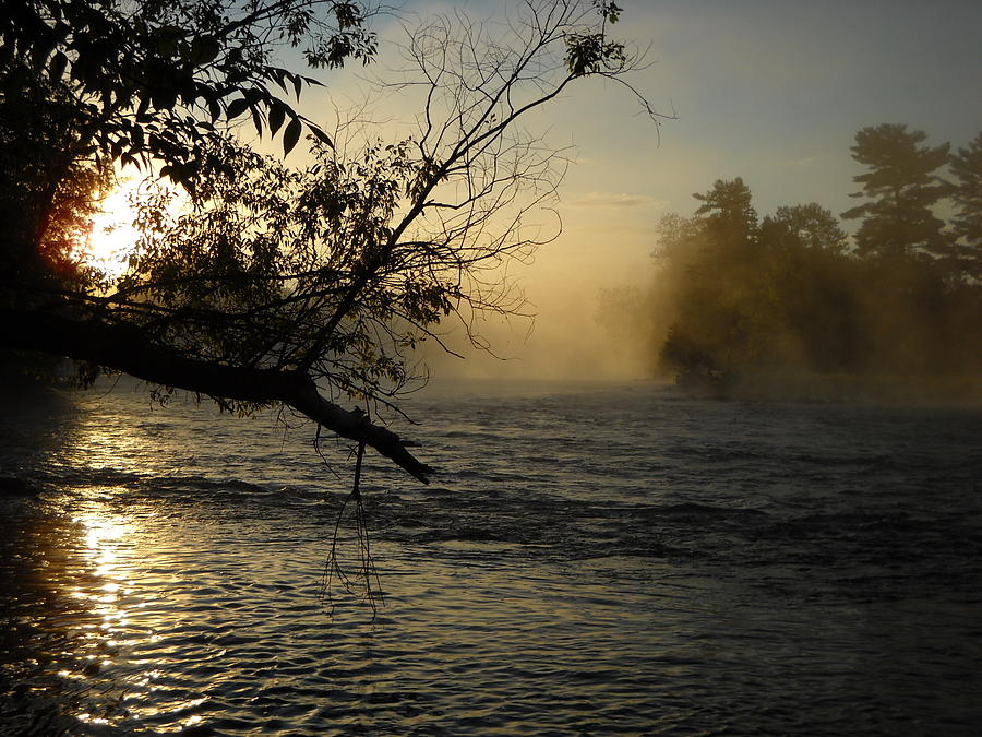 Mississippi river Foggy June Sunrise Photograph by Kent Lorentzen