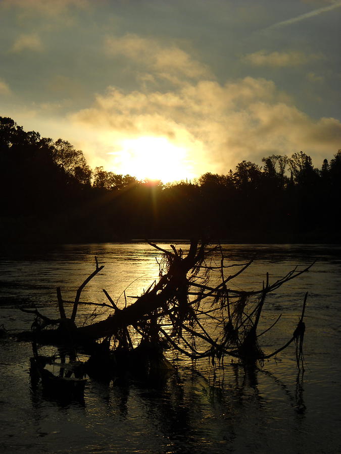 Mississippi River Sunrise Tree Roots Photograph by Kent Lorentzen