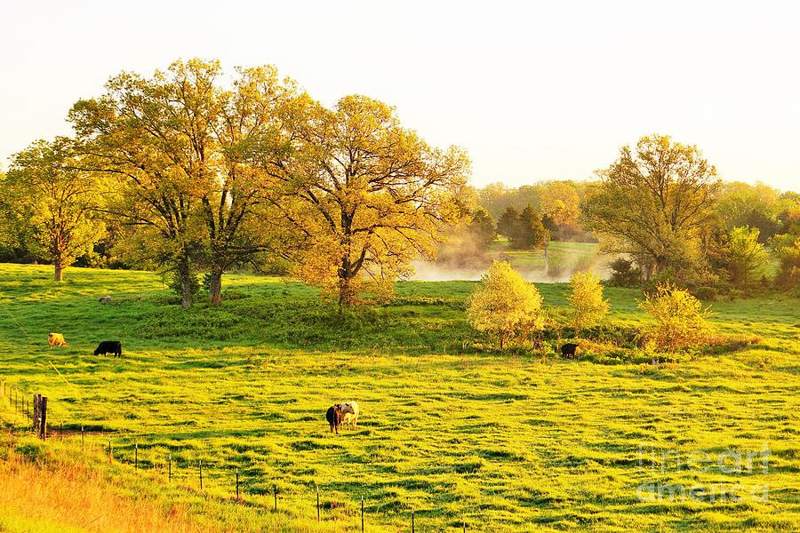 Missouri morning Photograph by Merle Grenz
