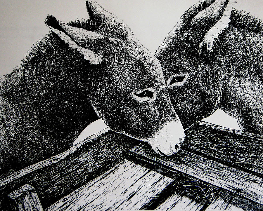 Missouri Mules Drawing by Lonnie Tapia