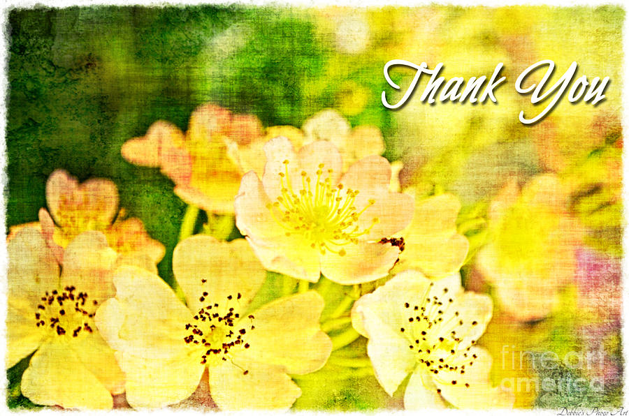 Missouri Wildflower Mix 3 - Thank You Greeting  Card Photograph by Debbie Portwood