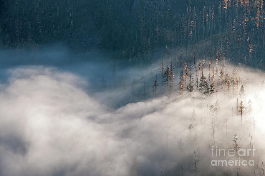 Mist and Shadow by David Emond Mist and Shadow by David Emond