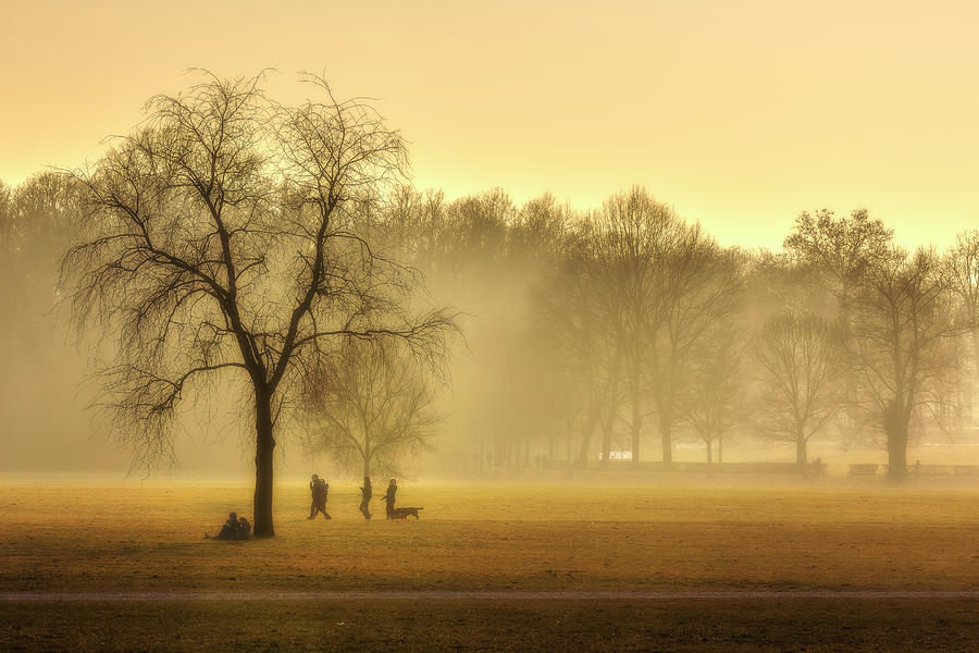 Mist at park Photograph by Roberto Pagani