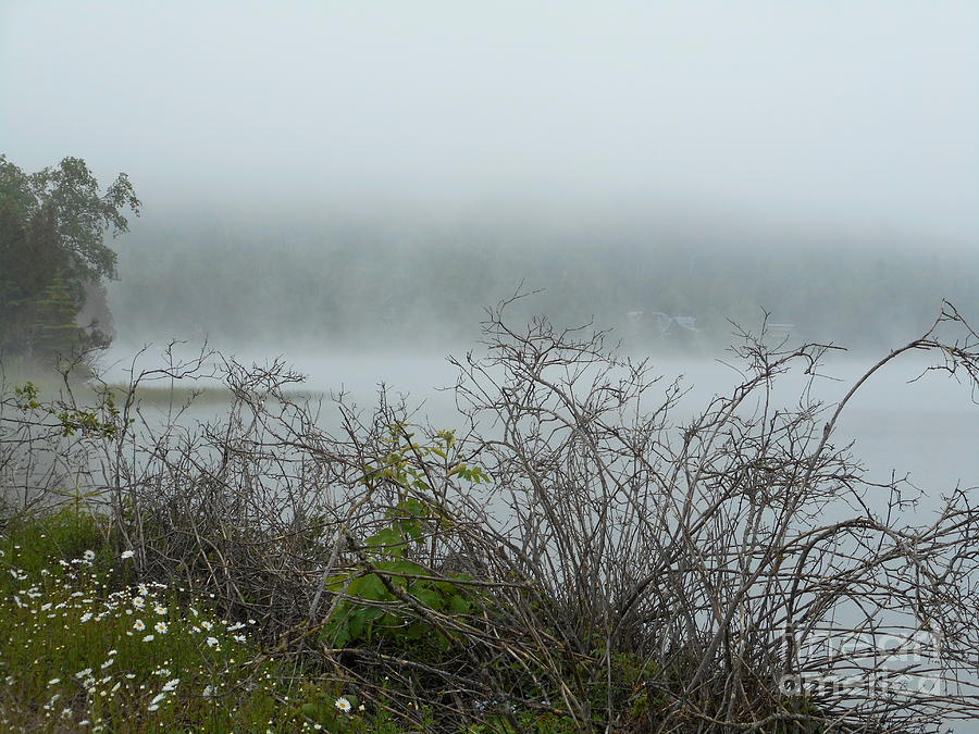 Mist At Silver Inlet Photograph by Wild Rose Studio