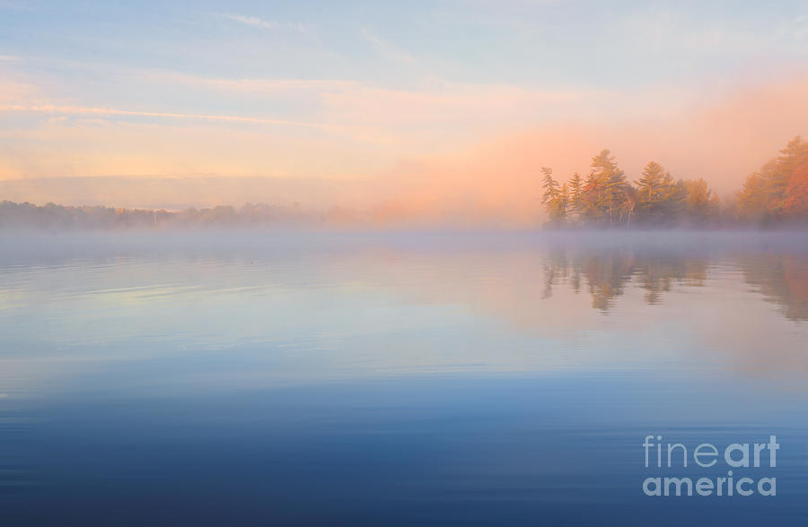 Mist At Dawn Photograph by Charline Xia