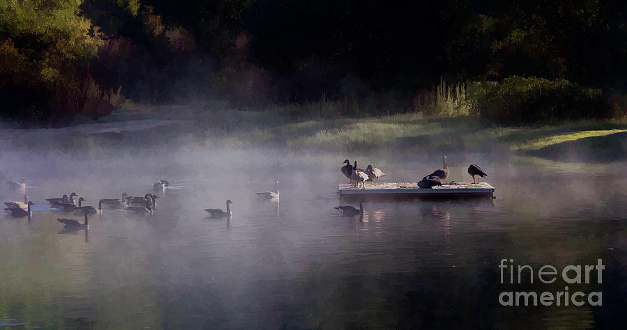 Mist Foggy Geese Platform  Photograph by Chuck Kuhn