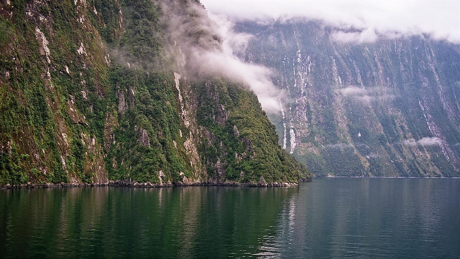 Mist in Milford Sound Photograph by Catherine Reading