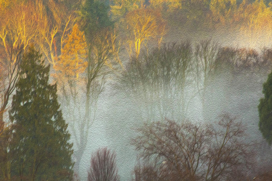 Mist in the Park by Sheldon Bilsker Mist in the Park by Sheldon Bilsker