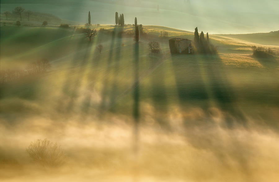 Landscape Photograph - Mist by Krzysztof Browko
