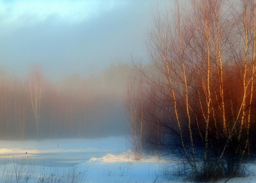 Winter Photograph - Mist of the Morning by Karen Cook