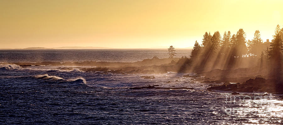 Mist off the Coast of Maine Photograph by Olivier Le Queinec