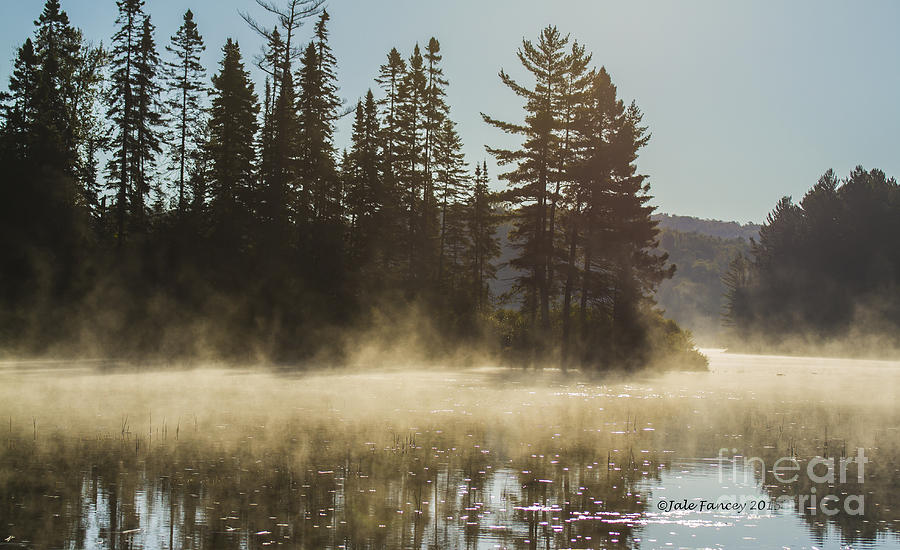 Mist on Costello Lake Photograph by Jale Fancey