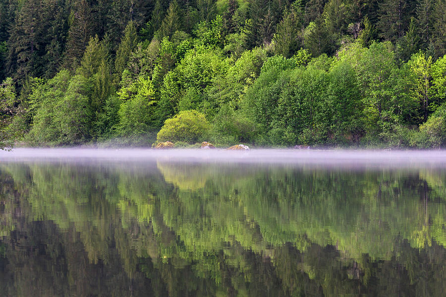 Mist on Silver Lake Photograph by Michael Russell