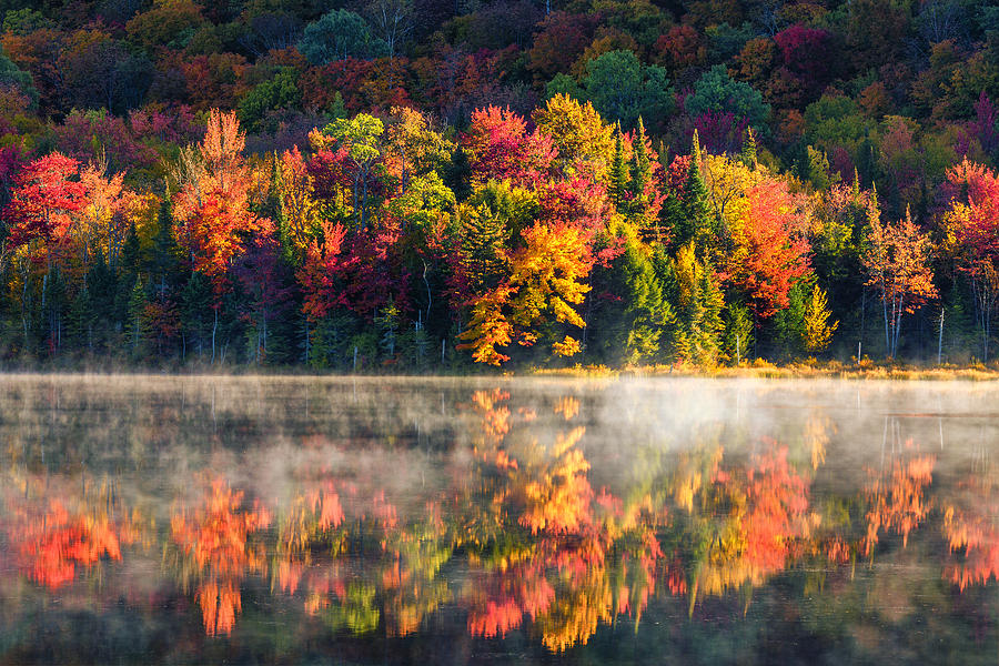 Fall Photograph - Mist on the Pond by Janet Ballard