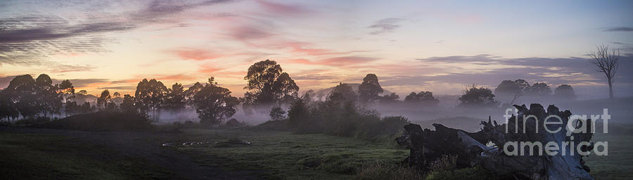 Mist over paddock at Berry Photograph by Sheila Smart Fine Art Photography