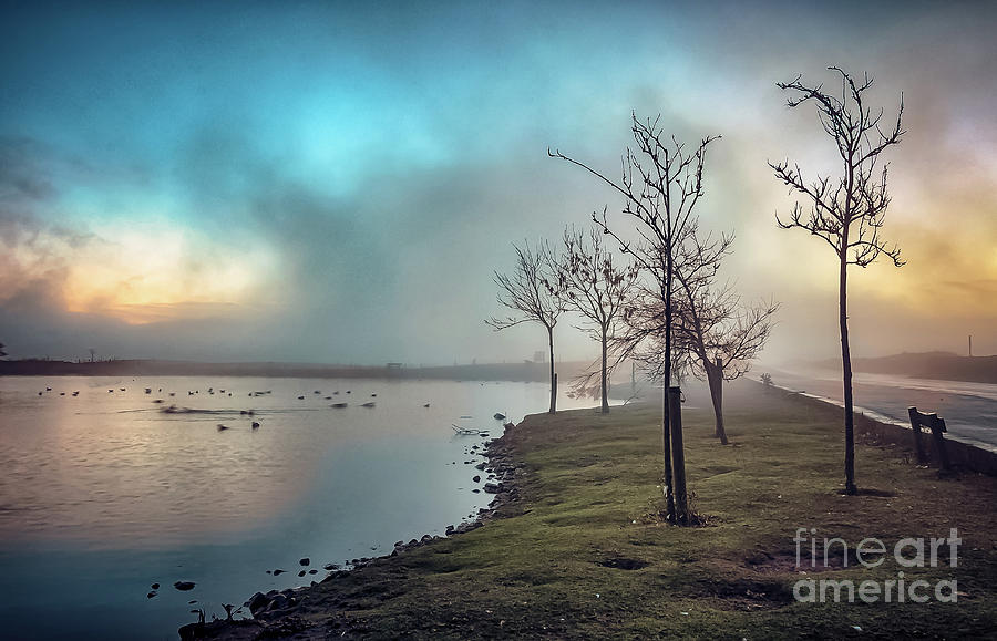 Mist Over The Tarn Photograph