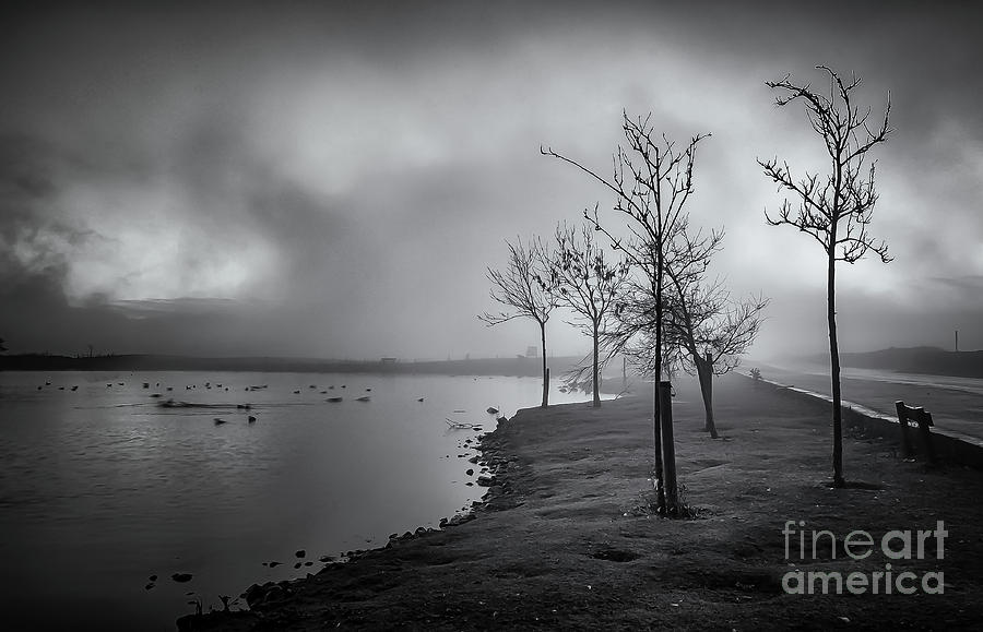Mist over the tarn - monochrome Photograph by Mariusz Talarek