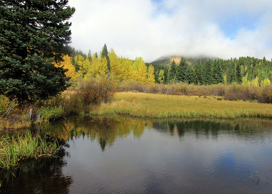 Mist Rising Above Golden Aspens Reflected in a Pond Photograph by Julia L Wright