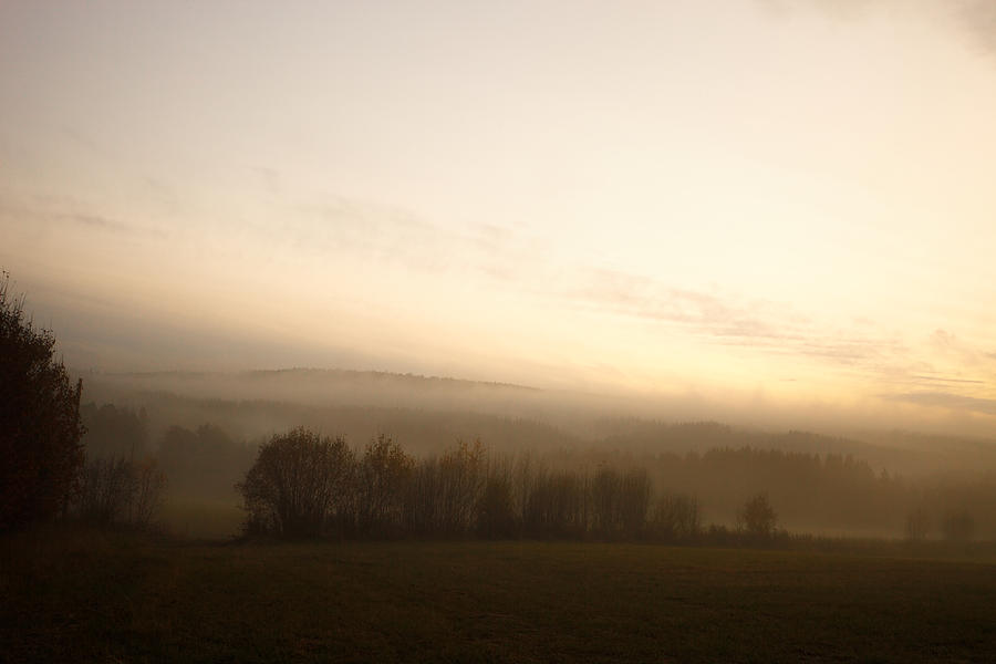 Mist rising from a meadow at dusk Photograph by Ulrich Kunst And Bettina Scheidulin