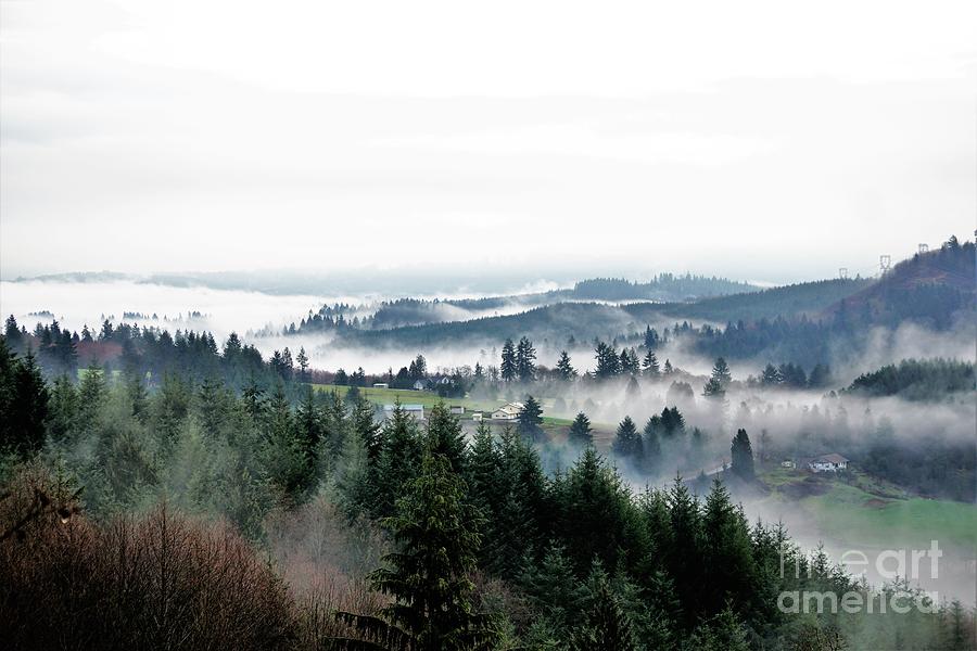 Mist Rising Photograph by Merle Grenz