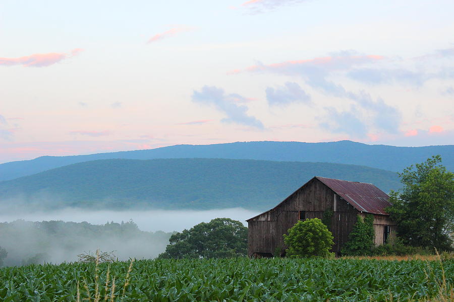 Landscape Photograph - Mist Rising  by Vickie  Teter 