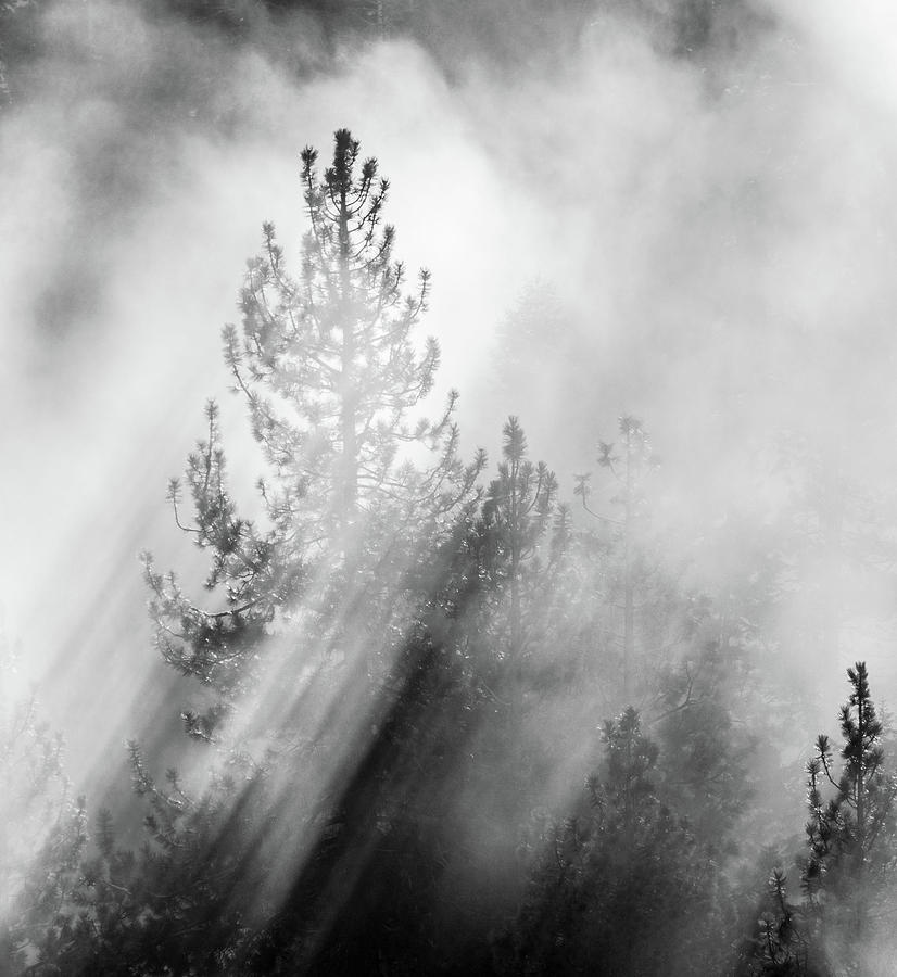 Mist Shadows Photograph by Martin Gollery