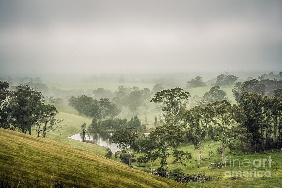 Mist Valley by Ray Warren Mist Valley by Ray Warren