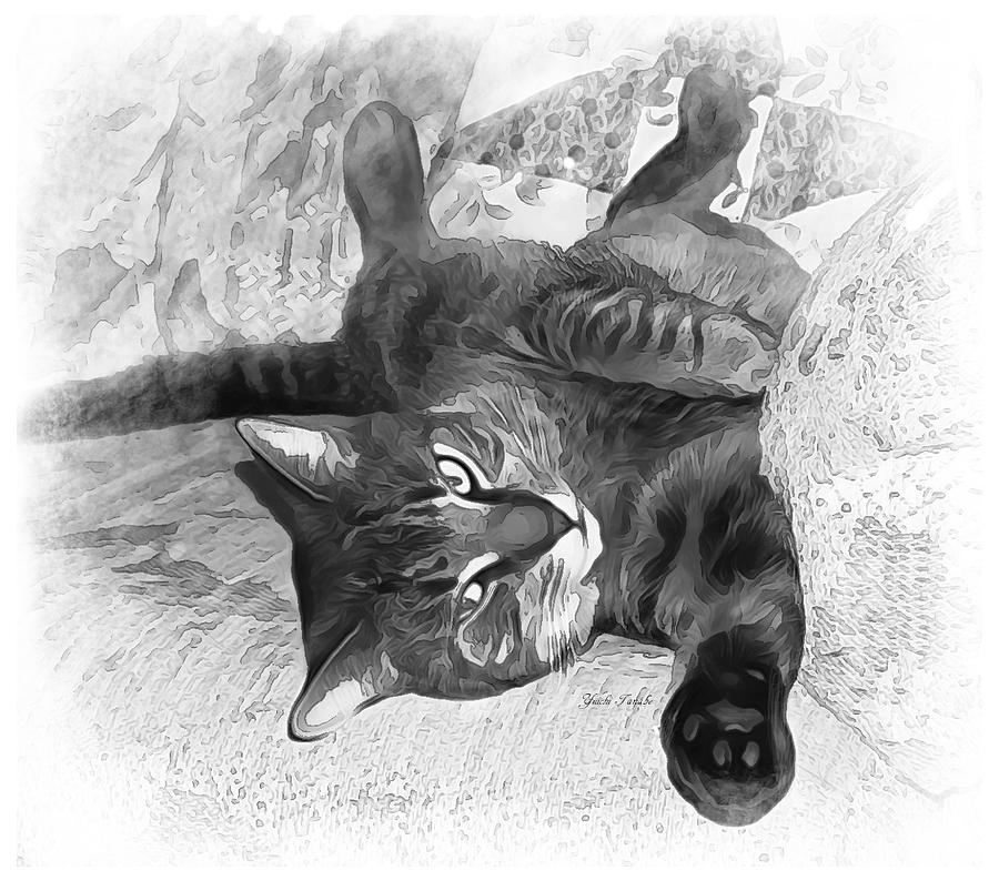 Mister Cat B And W Digital Art by Yuichi Tanabe