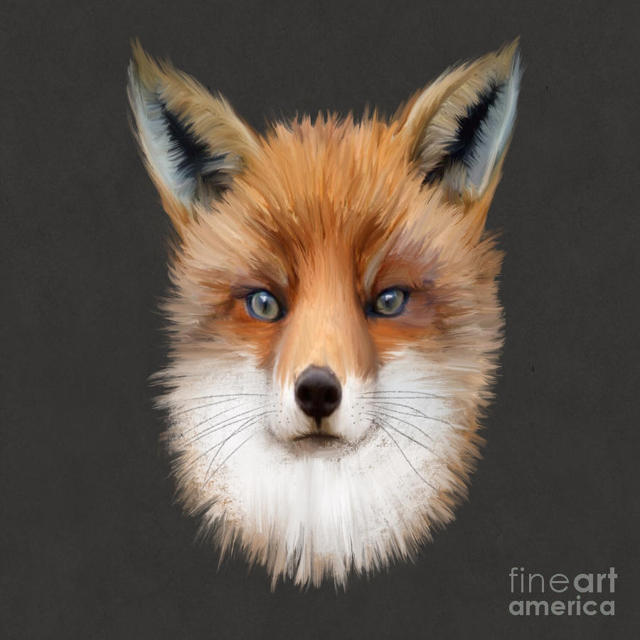 Animal Digital Art - Mister Fox by John Edwards