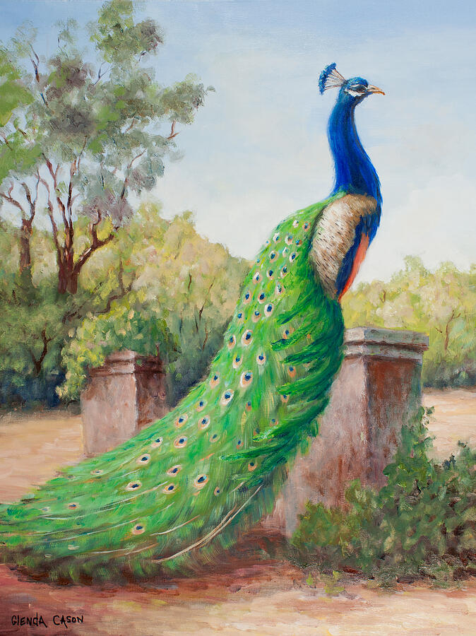 Mister Peacock Painting by Glenda Cason