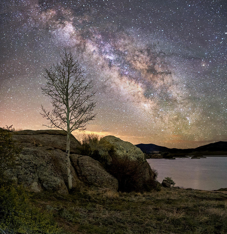 Mistic Tree Under The Stars Photograph by David Soldano