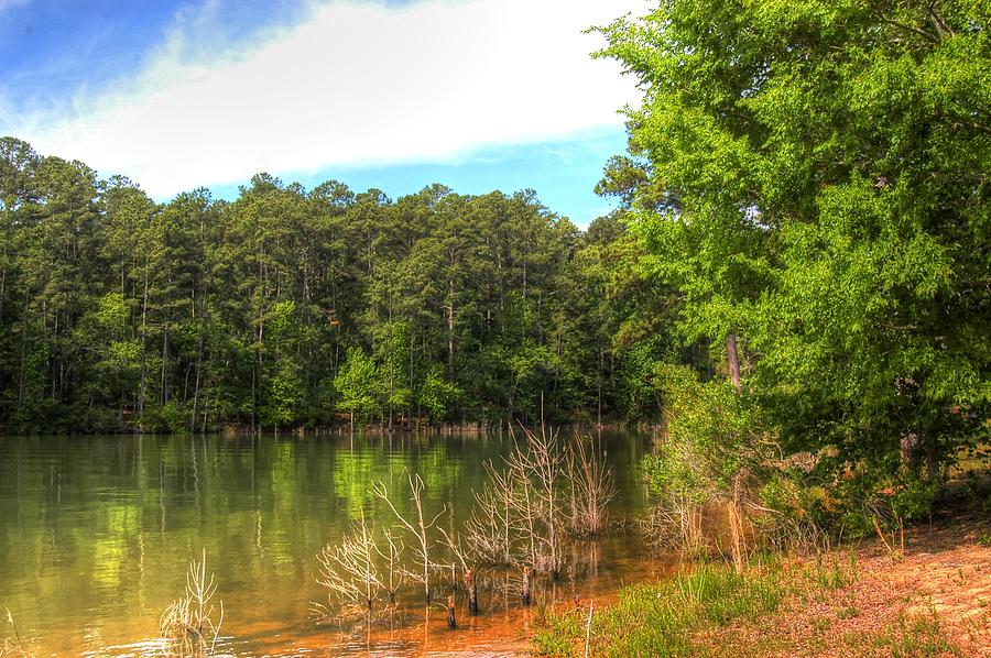 Mistletoe Lake01 by Donald Williams Mistletoe Lake01 by Donald Williams