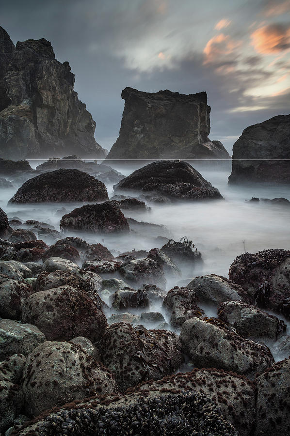 Mists of Patricks Point Seas Photograph by Greg Nyquist