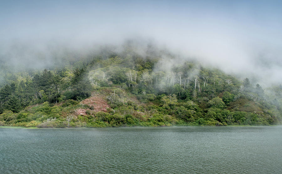 Mists on Freshwater Lagoon Photograph by Greg Nyquist